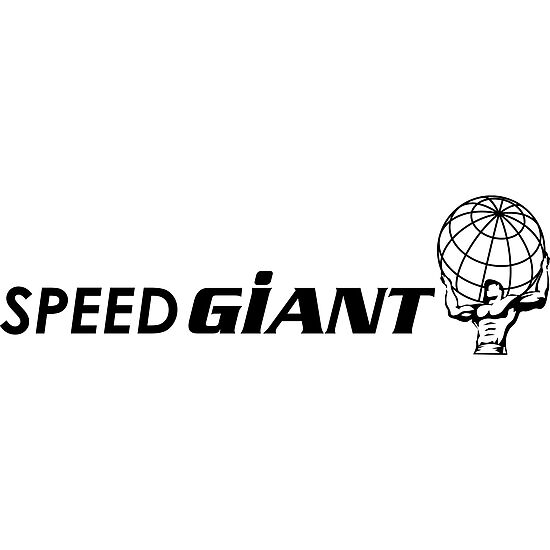 vigor speed giant piktogramm black