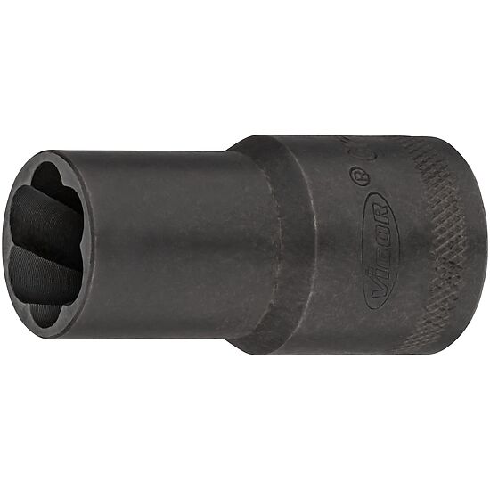 v2404n-15.jpg